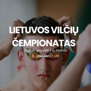 Lietuvos Vilčių čempionatas